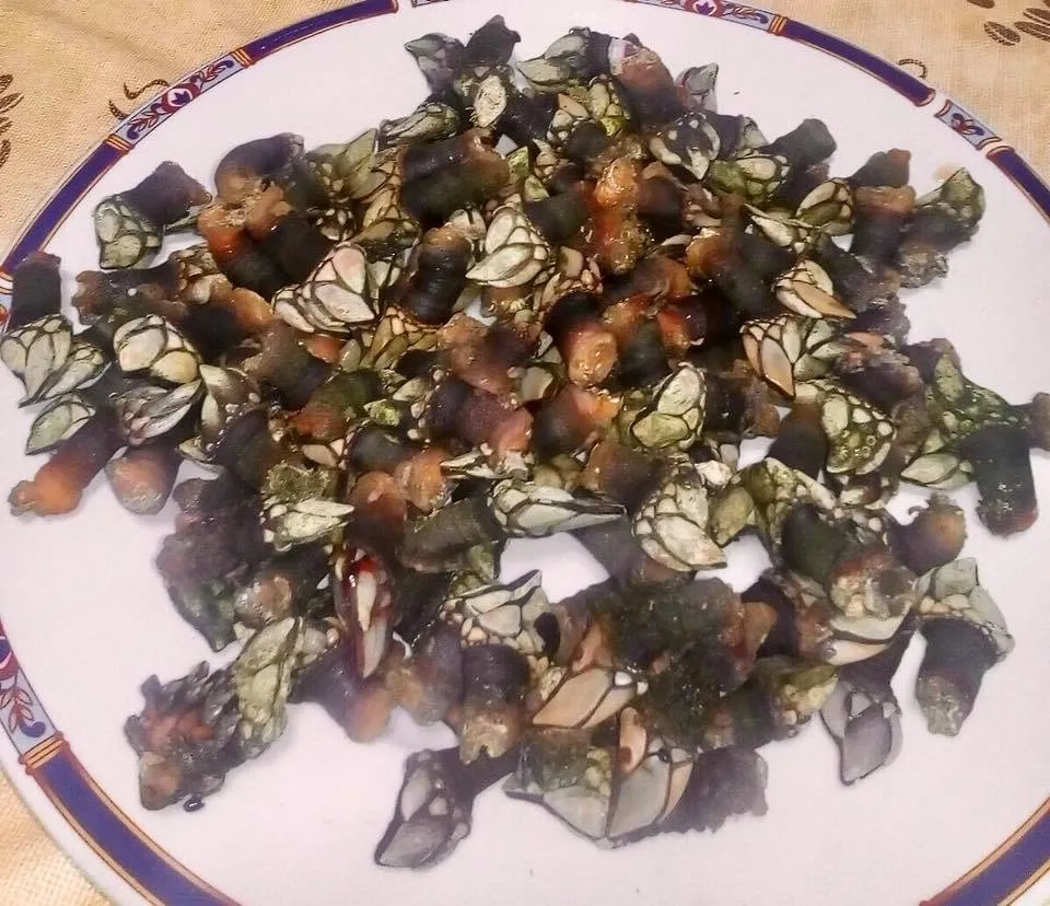 Restaurante Casa Aurelio_San Pablo de los Montes_slider_image_2