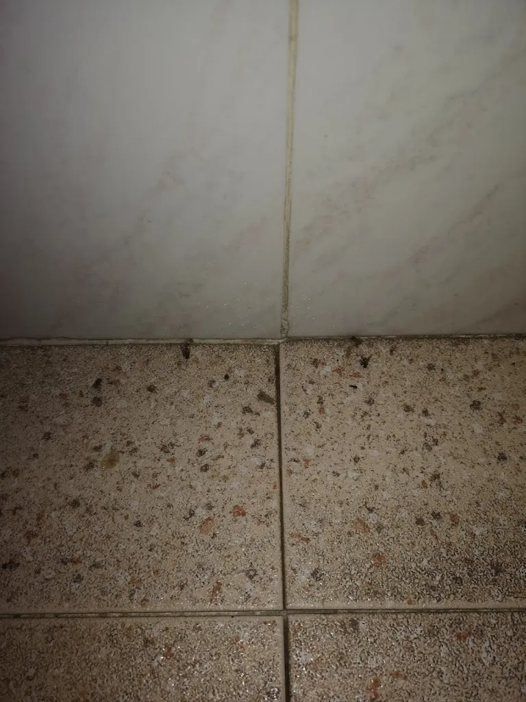 Mapno_BAR RESTAURANTE ALOJAMIENTO CUATRO CAMINOS_San Pablo de los Montes_review