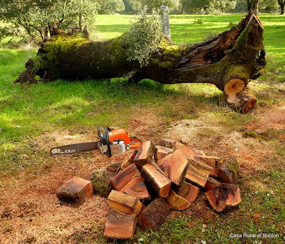 Casa Rural El Roblon_Sartajada_slider_image_3