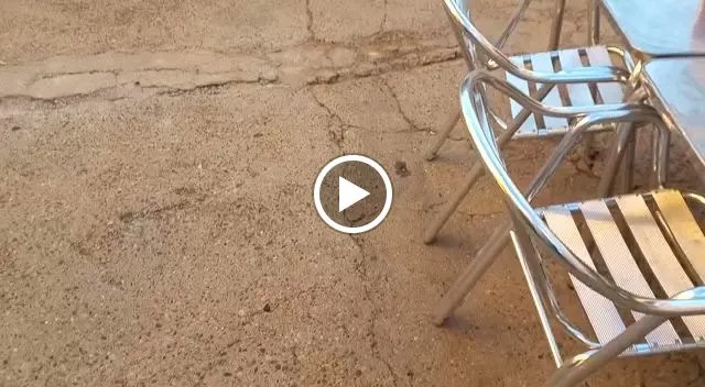 Bar Sánchez “Casa Juanjo