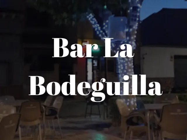 Luc C. _Small Winery Bar and Grill_Quintanar de la Orden_review