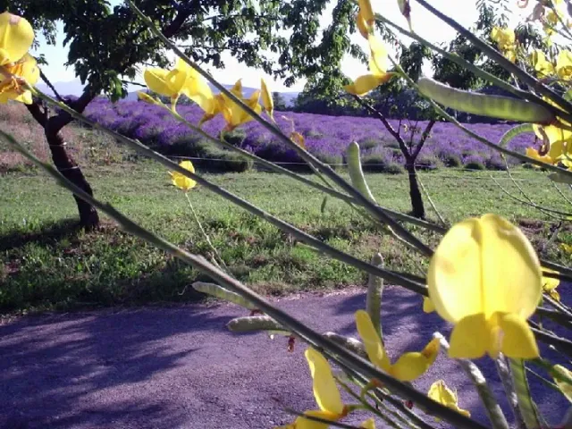 Cafetería Echegaray_Quintanar de la Orden_slider_image_2