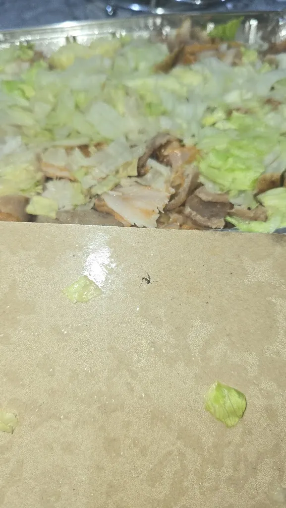 ITX_CAFETERÍA KEBAB TAREK_Quintanar de la Orden_review