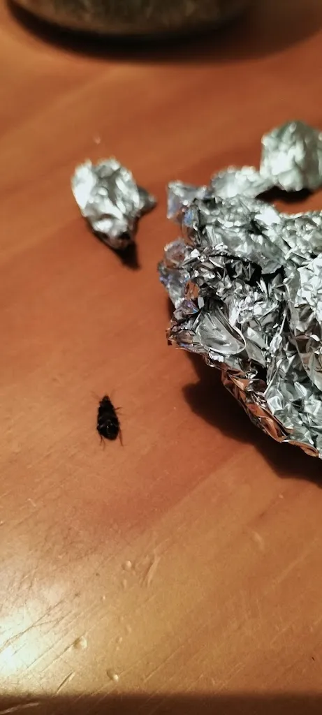 Menu_Amalia Kebab_Quintanar de la Orden_image_6