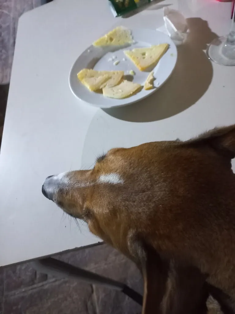 Menu_Restaurante El Quijote_Toboso El_immagine_6