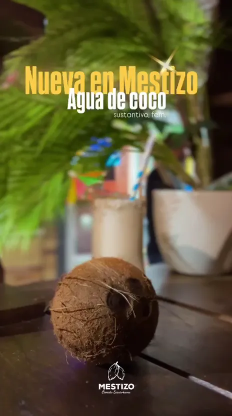 Mestizo Restaurante_Seseña_slider_image_2