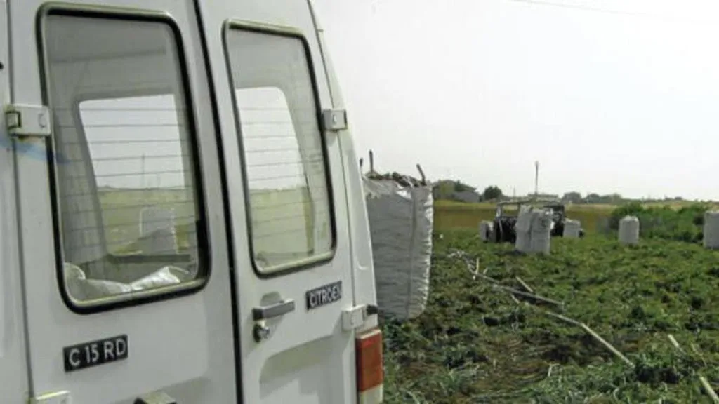 Patatas Eufemio Romero restaurant in Sonseca