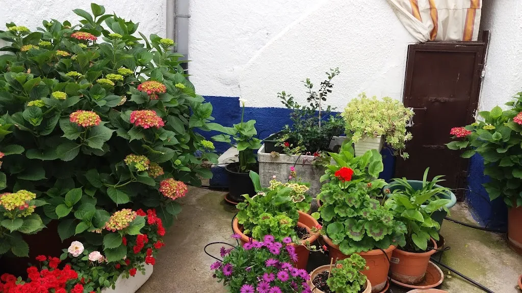 La Villa De Don Farquie_Villa de Don Fadrique La_slider_image_2