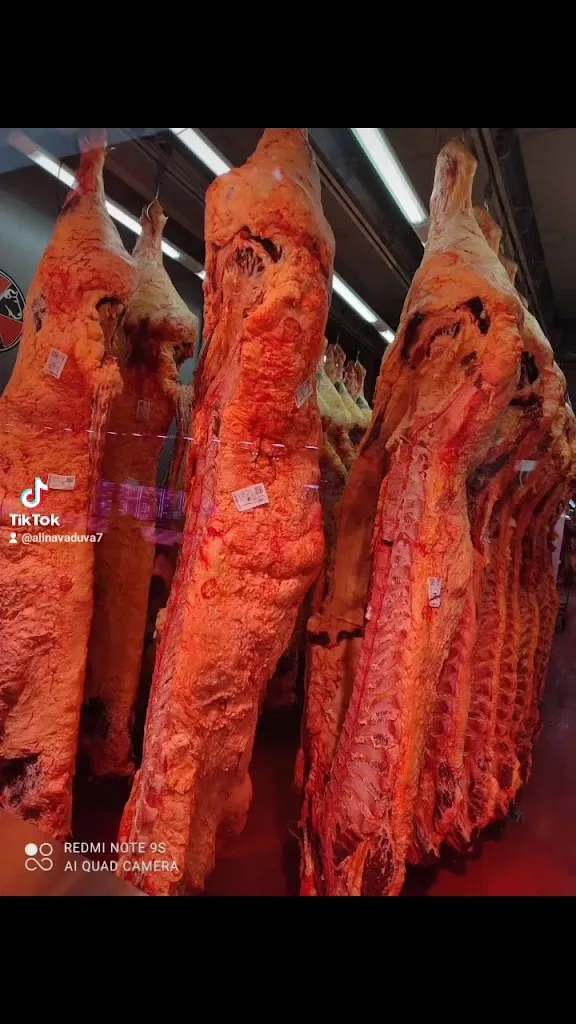 Bar Alex_Villaluenga de la Sagra_slider_image_2