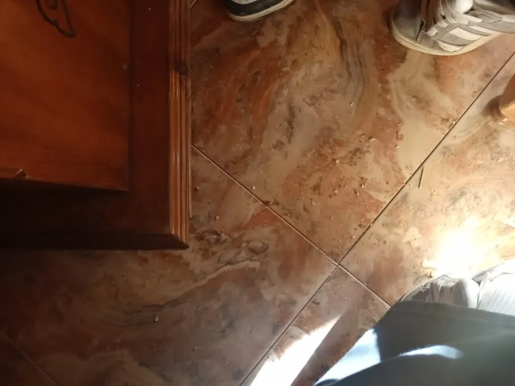 Ricardo Holgado_Cervecería-Cafetería-Asador De Pollos Blayan_Villacañas_review