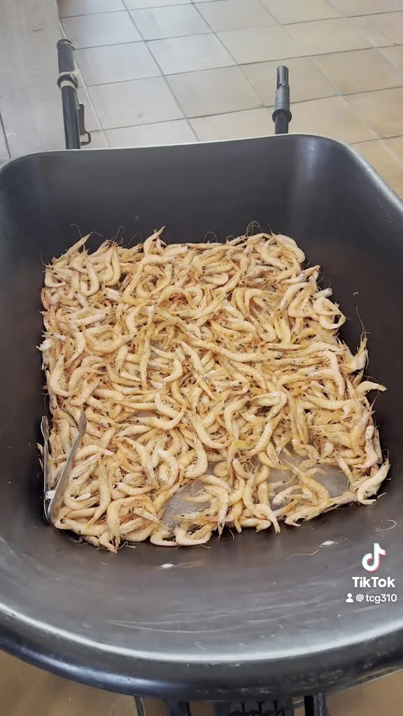 Teresa Contreras_Los Jardines de Palacio_Villacañas_review