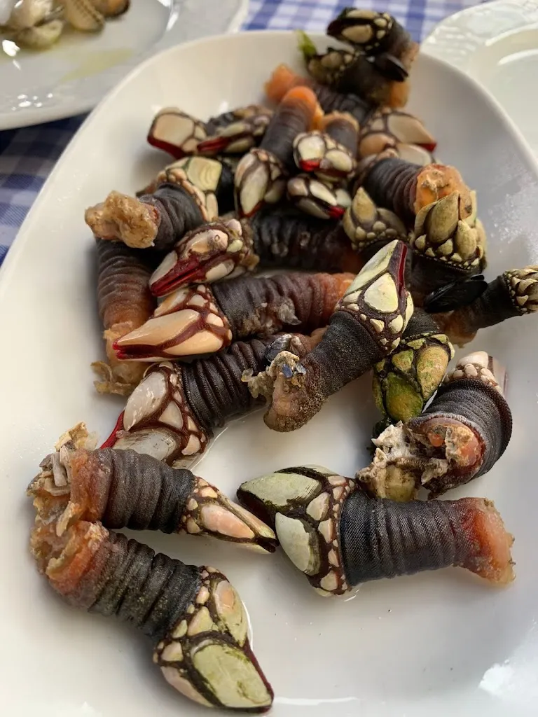 Menu_Taberna Praza do Peixe_Cedeira_image_5