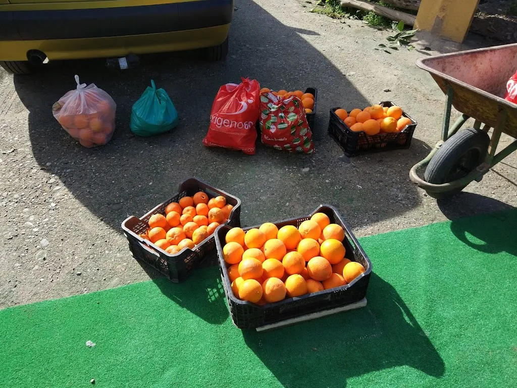 Menu_Restaurante Torrealta_Santa Fe de Mondújar_image_8