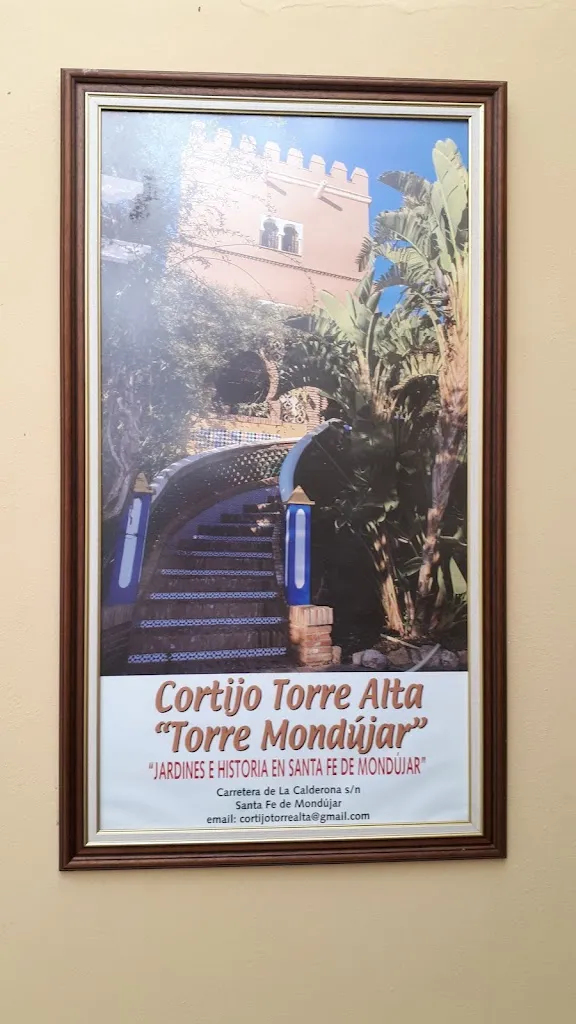 Juan Suárez Rodriguez_Restaurante Torrealta_Santa Fe de Mondújar_review