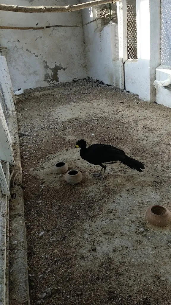 Alvaro Ruiz_Restaurante Torrealta_Santa Fe de Mondújar_review