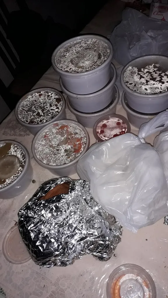 Menu_Restaurante COMIDA CHINA CHEN_Torrijos_image_8