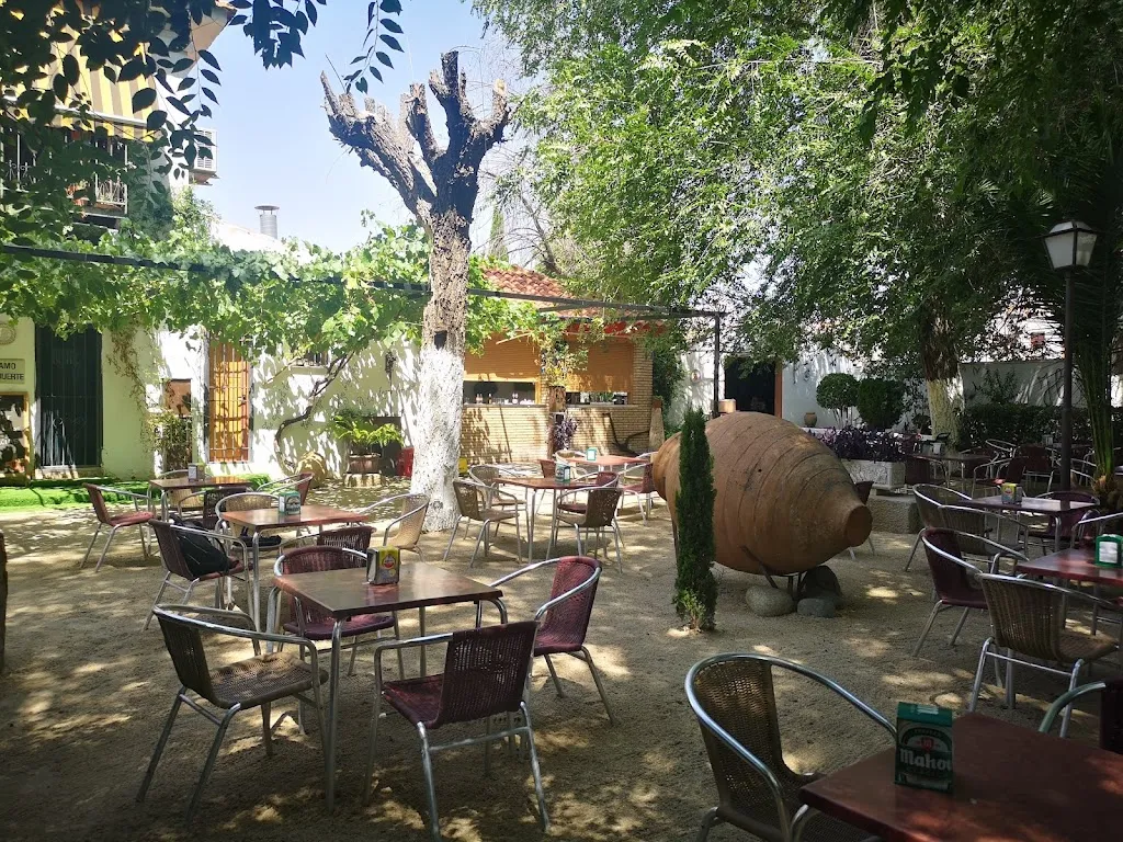 Bar El Candil restaurant in Yuncler