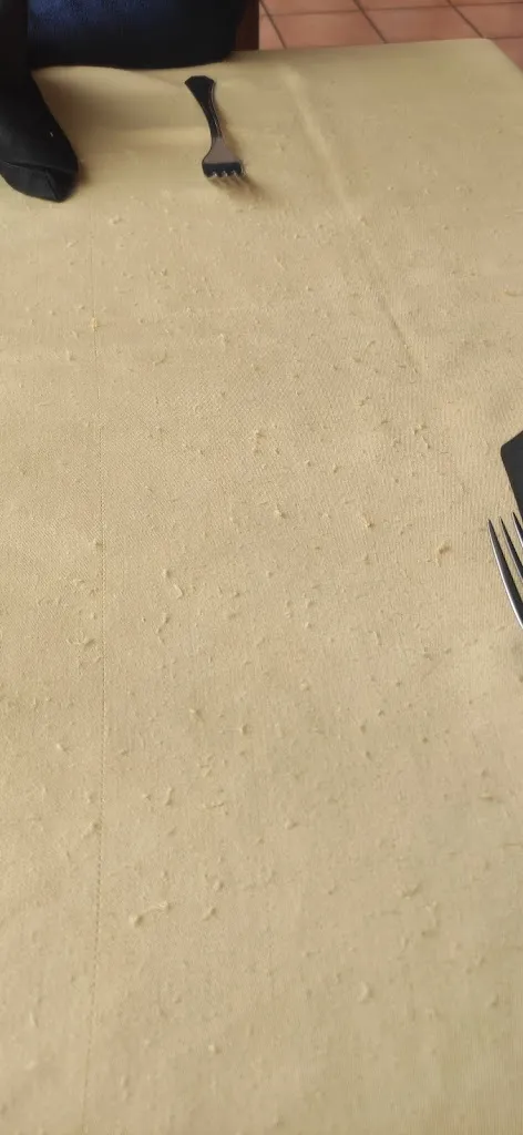 Sara Fernandez_Bar Restaurante La Fragua_Yuncler_recensione