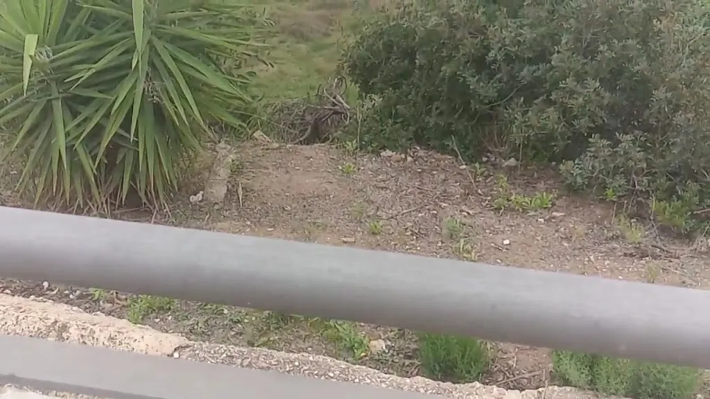 Sonia Martin_Cafetería Caymar_Sorbas_review