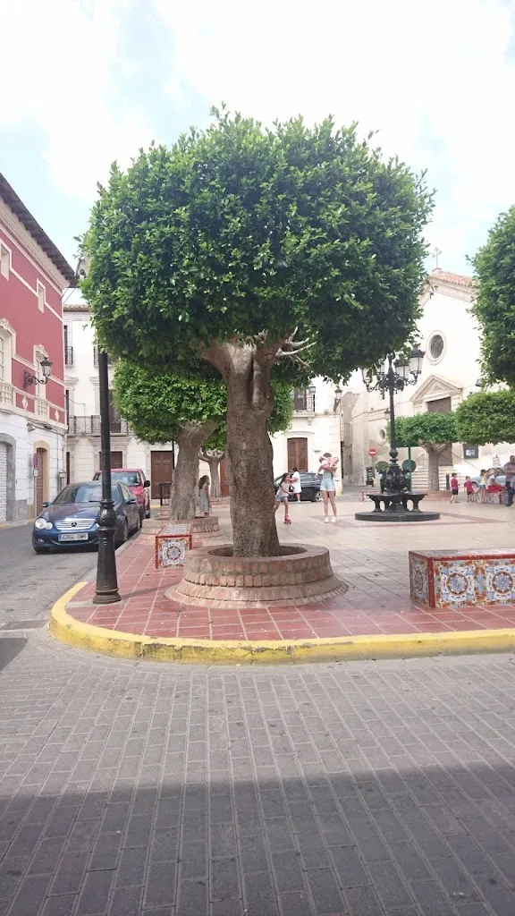 Piotr D_Cafetería Caymar_Sorbas_review