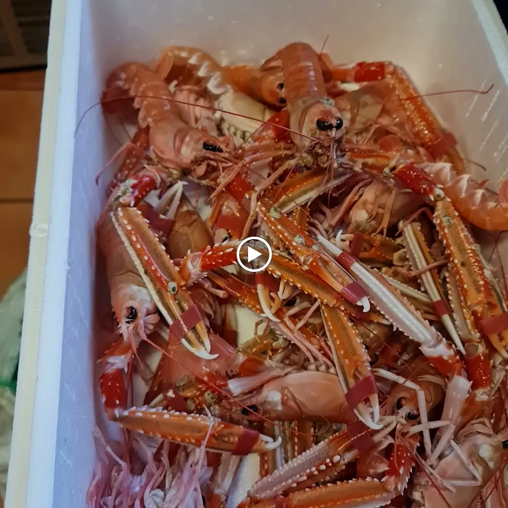 Restaurante Gabana Cuina Mediterrània_Adzaneta_slider_image_2