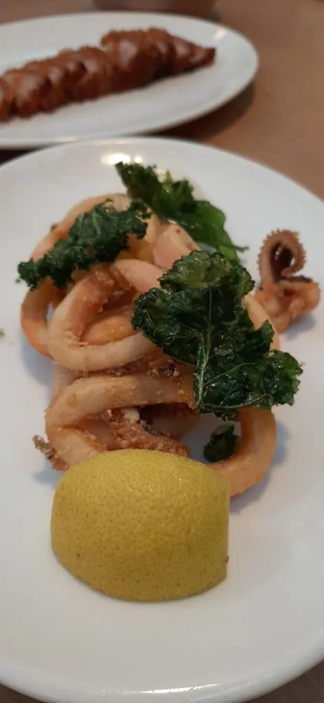 Mateu Riera_A ROIG VIU_Albaida_review