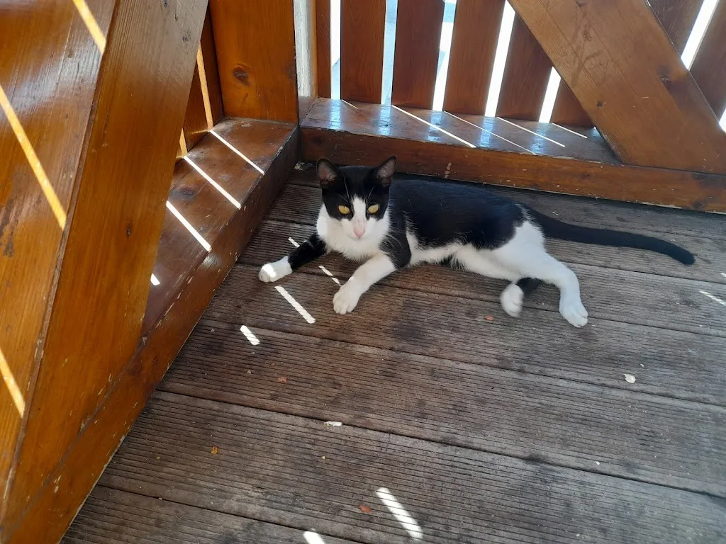 Angie Williams_Complejo Gasaqui_Aielo de Malferit_Bewertung