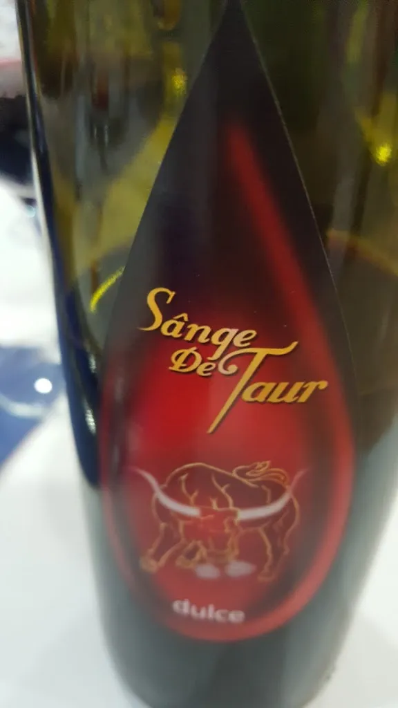 Menü_Restaurante Rumano Casa Blanca_Alaquàs_Bild_6