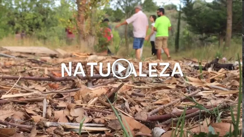 Actio_Alborache_slider_image_2