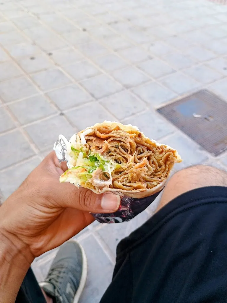 Erika Yela_Zebi_Albuixech_review