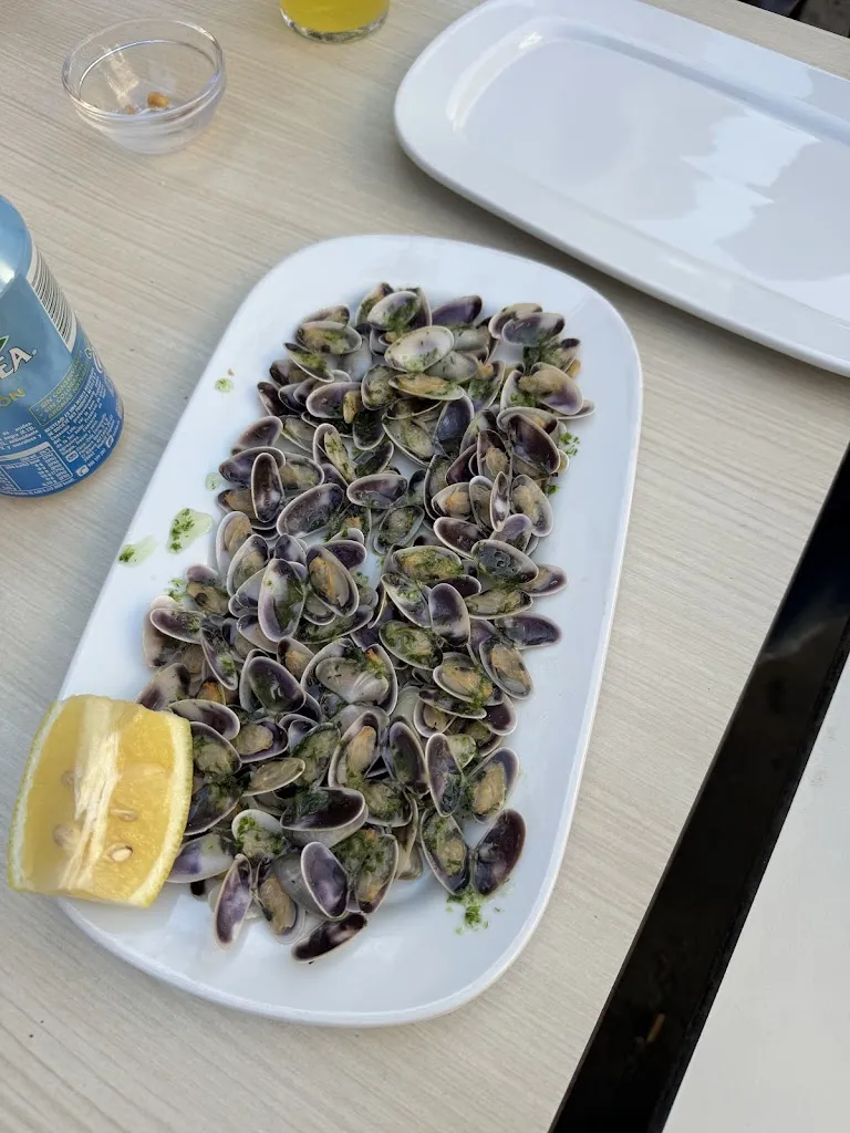 Carlos Manuel Martín_El Gallo de Oro II_Albuixech_review