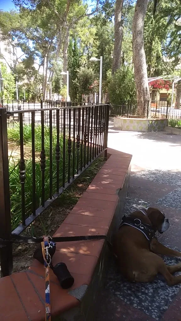 Bar Glorieta_Alberic_slider_image_2