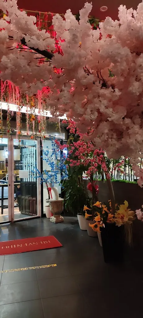 YoLyHaN FeBe_Wok sol_Yuncos_review