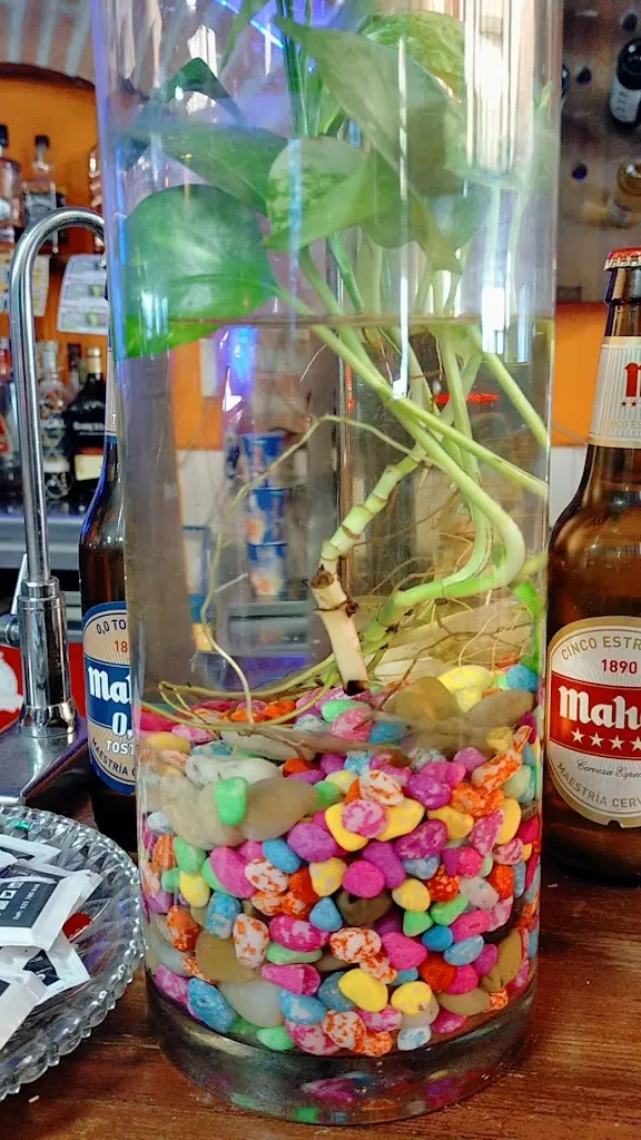 BarRestauranteCasaLinda_Yuncos_slider_image_2