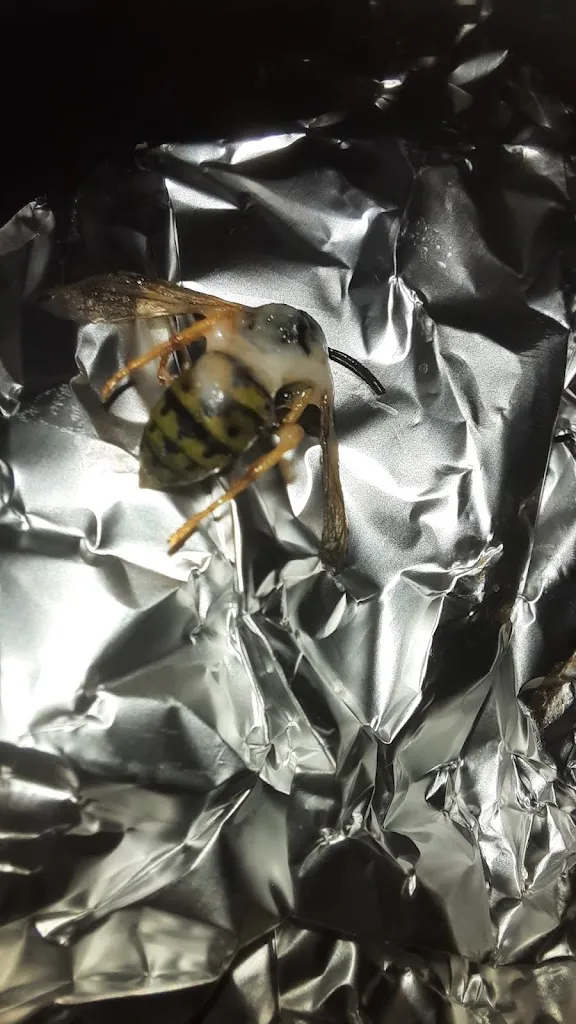 Patricia García Restrepo_Pak Doner Kebab_Yuncos_review