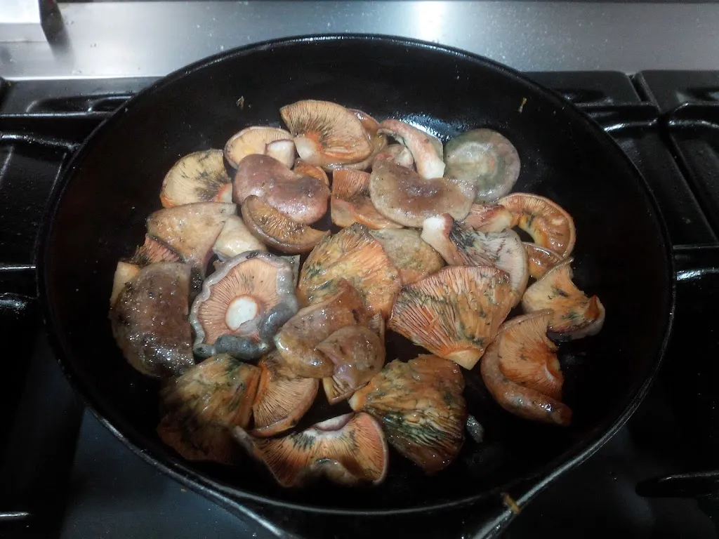 Menu_Mar & Lucas_Alboraya_image_7