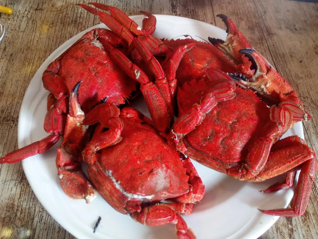 Menu_Mar & Lucas_Alboraya_image_8