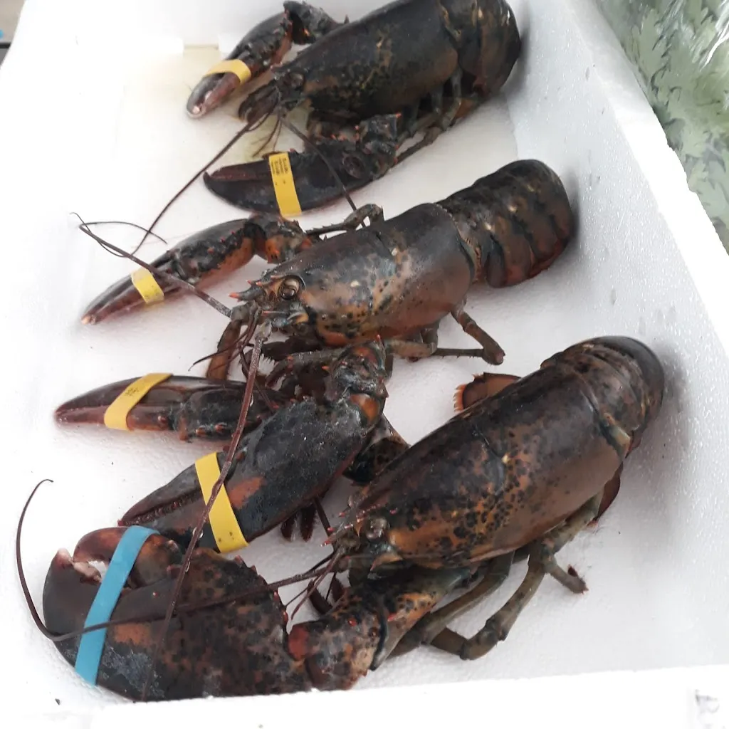 Menu_Bar poliesportiu_Alcúdia de Crespins l_image_4