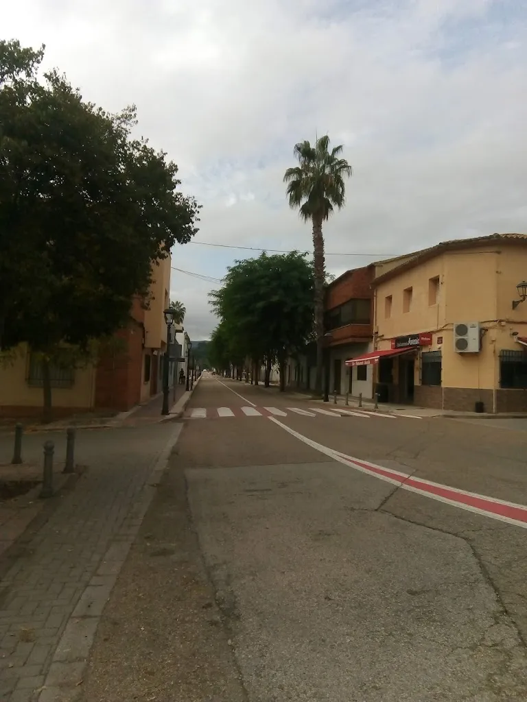 Andrés Alfonso Pérez Estruch_Bar Avenida Larimar_Alfara de Algimia_review