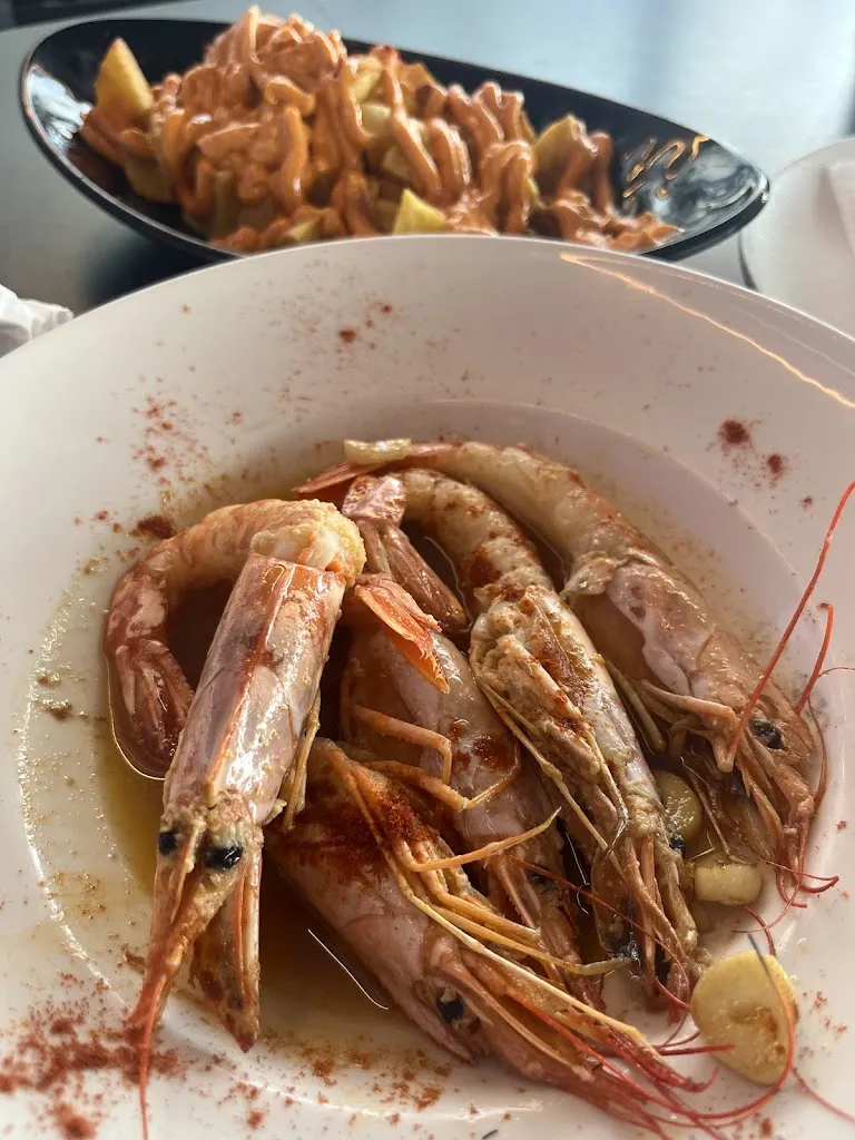 Nicola Watkins_El Palmeral Beach_Alcocéber_review