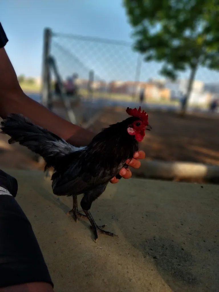 Kebab La Ribera_Alginet_slider_image_3