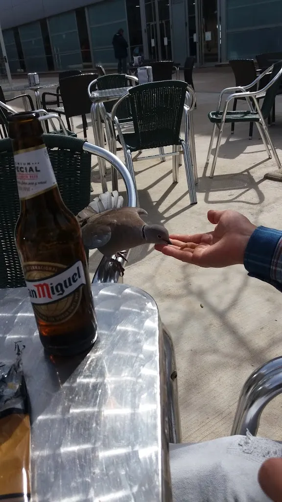 Menu_Llar dels Jubilats_Almussafes_image_8