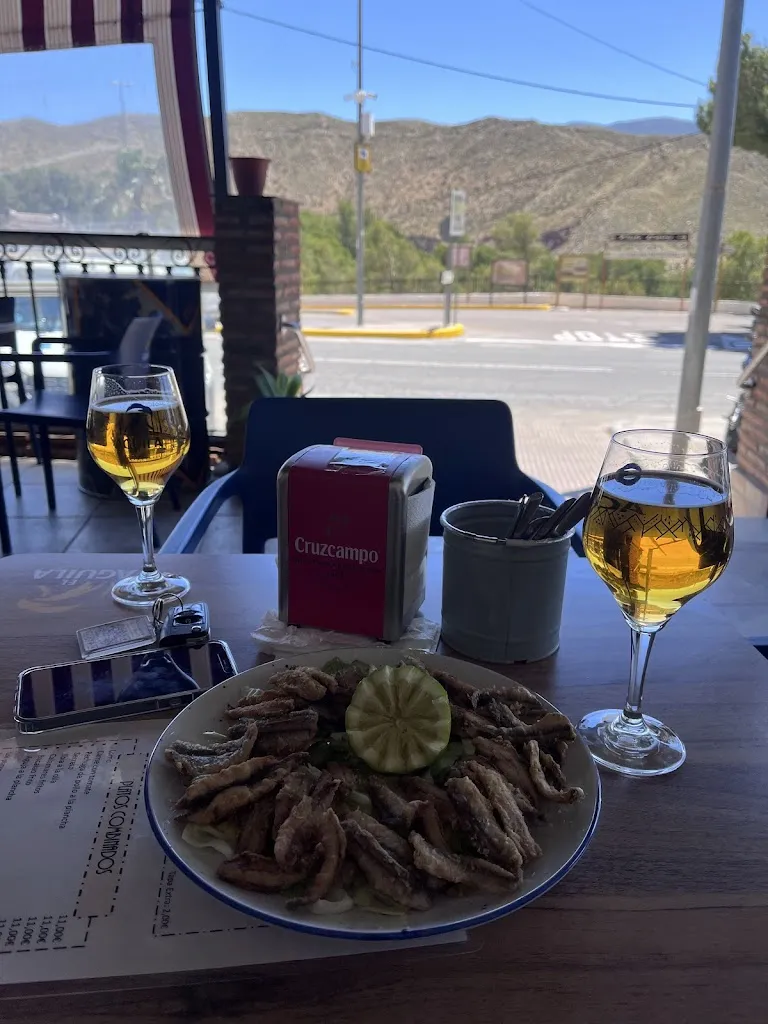 Sonia Tudisco_Bar El Portichuelo_Tabernas_review