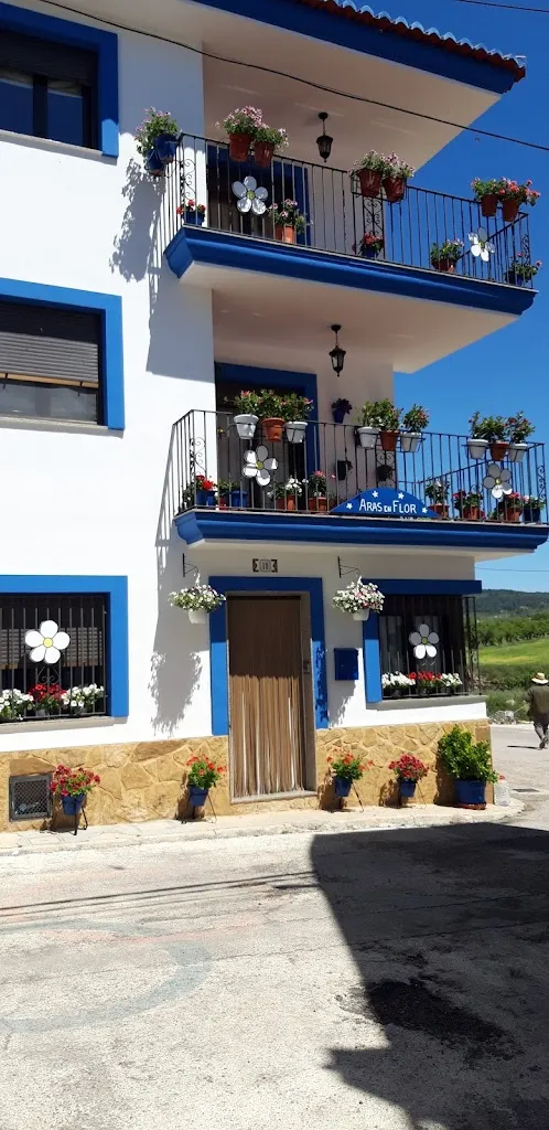 BAR LA PLAZA._Aras de los Olmos_slider_image_2