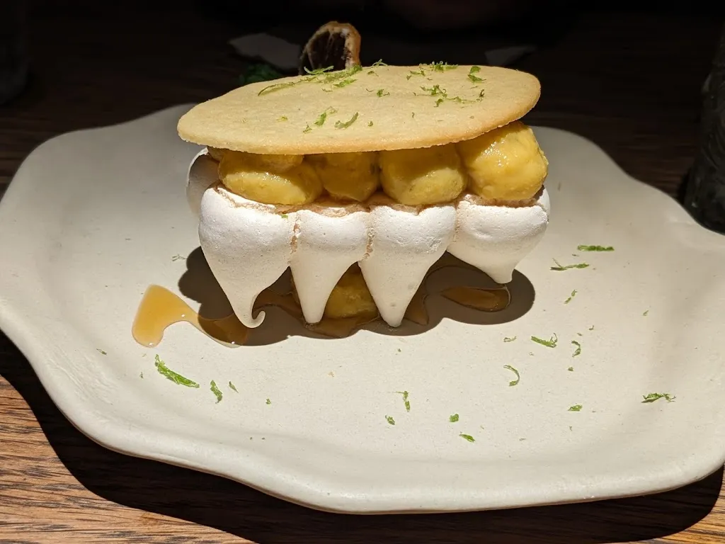 Dr. Rohit V Prasad_Tapa Tapa Santa Ana_Anna_review