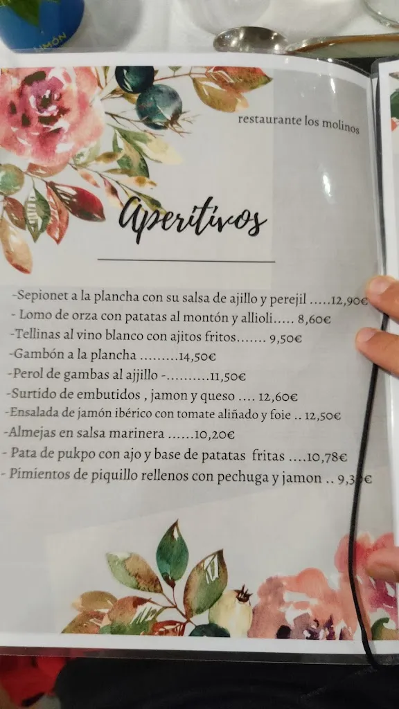 Menu_Los Molinos_Ayora_image_2