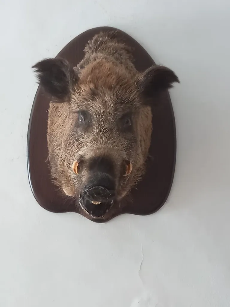 Bar Cervantes_Benicolet_slider_image_3