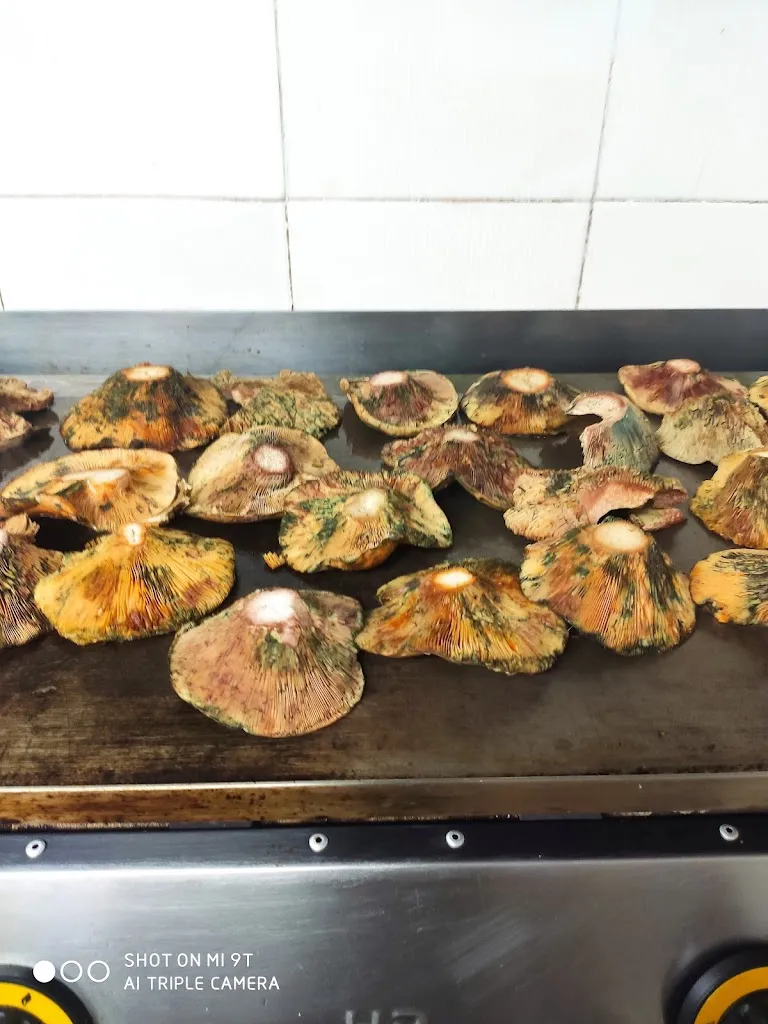 Menu_Sociedad Benimuslem_Benimuslem_image_9