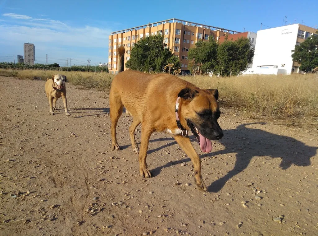 Antic Rajolar_Benetússer_slider_image_3