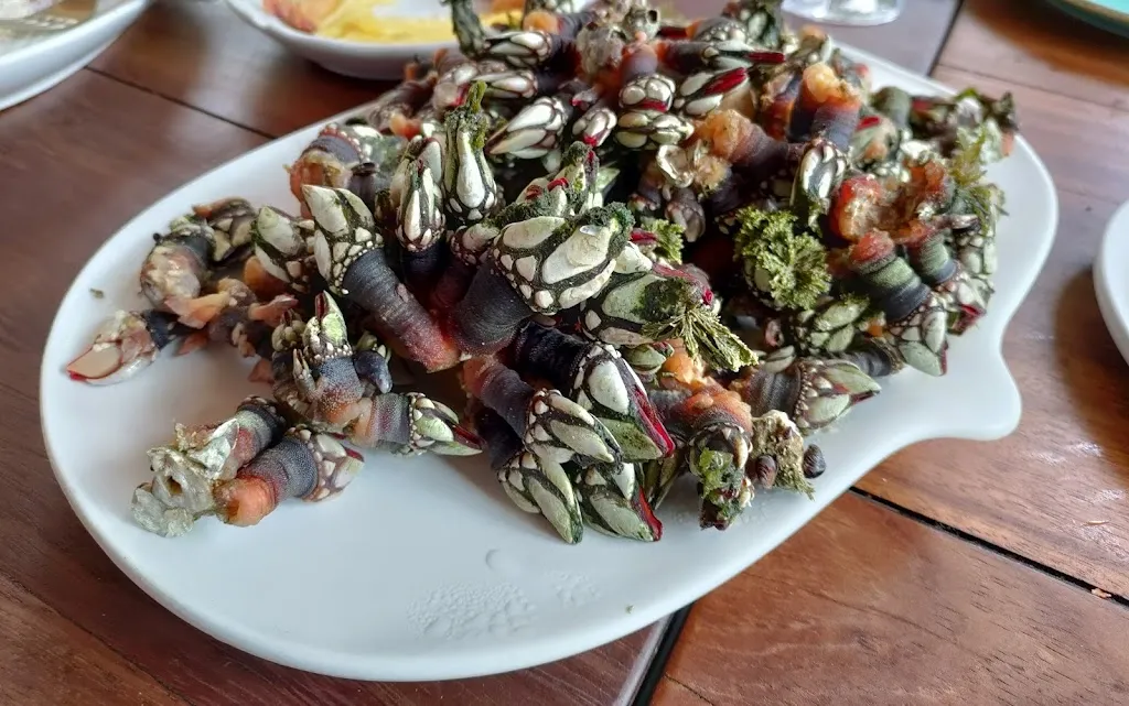 Menu_A Taberna Do Puntal_Cedeira_image_9